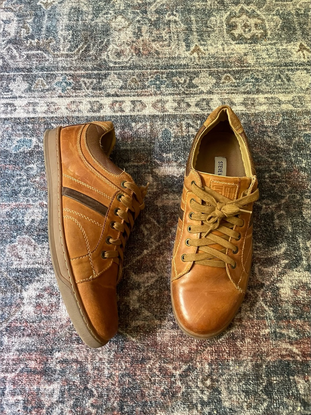 🍎Calahan sneakers Steve Madden🍎